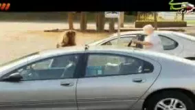 نصف شدن ماشین