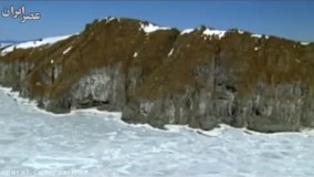 لحظات دیدنی شکار پرندگان توسط عقاب ها