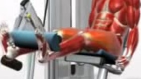 جلو پا دستگاه نشسته