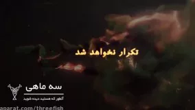 تلفیقی از نور، رنگ و رقص که شما را خیره می کند!