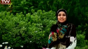 دانستنی های طبیعت و محیط زیست