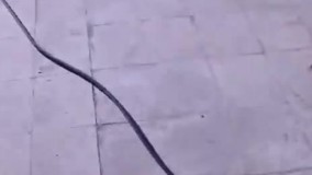 خانه تکانی خنده دار ایرانی ها