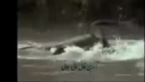 دابسمش های محسن بروفر