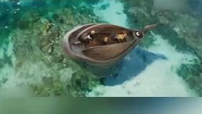 جلوه های ویژه فیلم لیگ خدایان