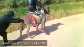  روشن کردن اتومبیل به روش خر