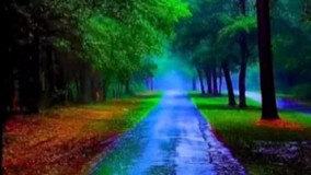  کلیپ دوست دارم زندگی رو