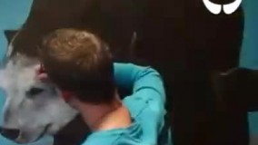 نقاشی زیبایی که کشیدنش ۲ ماه طول کشید!