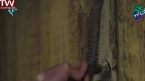 سریال علی البدل قسمت چهارم