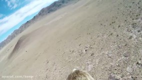 شکار روباه از دید عقاب در حال پرواز