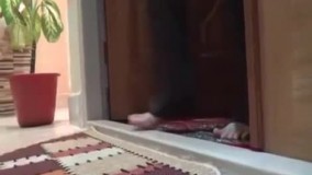 فیلم ترسناک وقتی جن وارد خانه میشه!