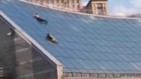 حماقت تا این حد 