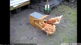 کار های جالب