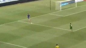 احمق تر از این دروازه بان مگه هست/!