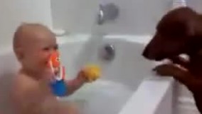 بازی سگ با نوزاد 