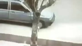 جلو پاتو نگاه کن جوان :))