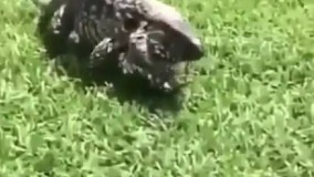 وای دوبلرش عالیه با صدای بلند گوش کنید 