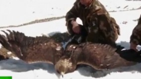 ویدیو/نجات جانوران زخمی به دست نظامیان در چین