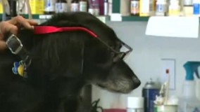 دوربین مخفی جدید