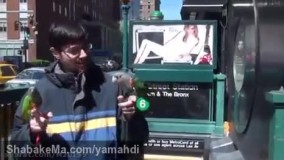 طوطی هایMichael Sazhinدر نیویورک