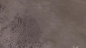 سریال معمای شاه قسمت 94