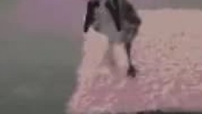 وقتی گوشی  دخترا دست داداششون میافته????