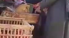 اسم اینارو باید گذاشت کلاه برداران قرن...