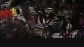 دعوای مرگبار بروسلی...