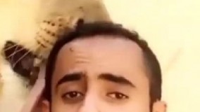 حیوان خانگی فقط شیر!