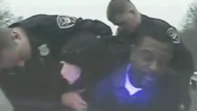 مدرک را خورد