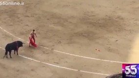 لحظه حمله گاو وحشی به گاوچران در مسابقات اسپانیا