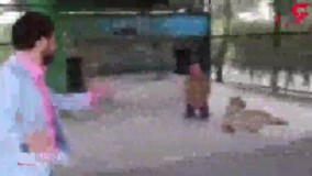 ????حمله ببر درنده باغ وحش مشهد به مجری سیما 