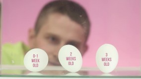 10 کار شگفت انگیز با تخم مرغ