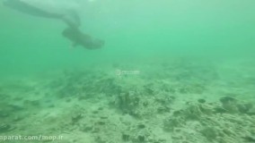 کلیپ زیبای پارس جنوبی