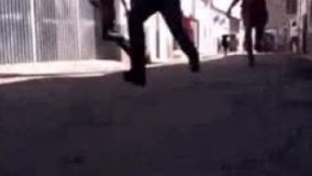 اصلا گاوا هم بی خیالش شدن1