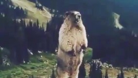 وقتی هر کاری میکنی نمیشه..خیلی عالی