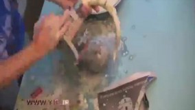 فیلمی از ساخت عروسک اژدها با روزنامه را مشاهده می‌کنید.