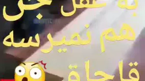 به عقل جن هم نمیرسه که این قاچاقچیا جنساشونو کجا قایم کردن!