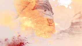 مدافعین حرم