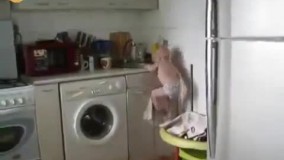 وقتی مامان سرش تو تلگرام باشه بچه هم اینجوری میشه!