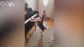 خوانندگی و نوازندگی یک سگ