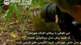 یه مستند طنز باحال