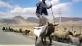 عجب دس فرمونی داره ه ه ه!