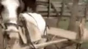 دخترا یاد بگیرن اینجوری پارک میکنن!