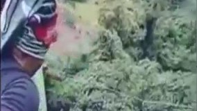 بانجی جامپینگ مرگبار یک دختر