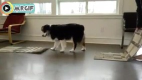 یکی تو ورزش اینجوری باهات پا باشه خدایی ورزش کردن خیلی به ادم حال میده!