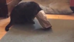 ای وای چرا یهو هنگ کرد این بیچاره؟!