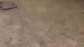 فقط اخرش که پارچه رو بر میگردونه.خنده دار