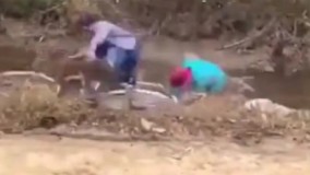 عاقبت دو نفری سوار بر دو چرخه شدن