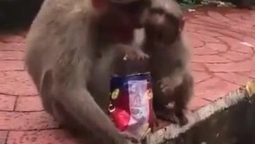 چرا اینطوریه ؟؟