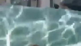 استخر شیشه ی بالای برج 